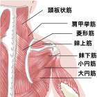 美容室で肩こり解消【Ria】